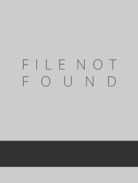 Hitler Files: A Story About The Fourth Reich